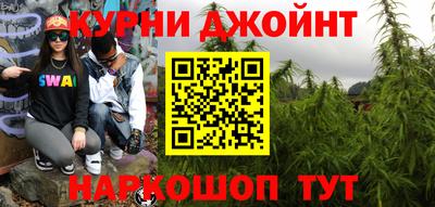шишки Бердск