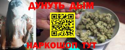 шишки Бердск