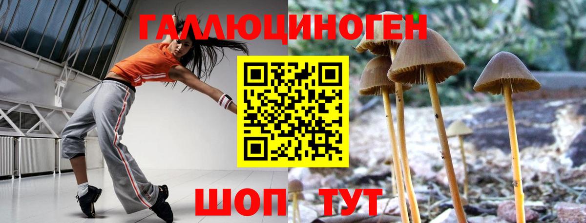 Псилоцибиновые грибы мухоморы  Вход с VPN  Янаул 